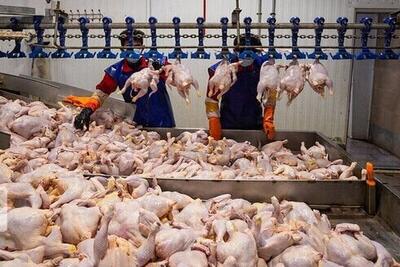  دلیل توزیع مرغ گرم دونرخی در بازار خراسان شمالی چه بود؟