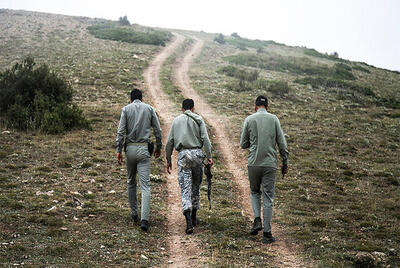  فرماندار مه‌ولات: تعرض به محیط‌بانان بدون پاسخ نخواهد ماند