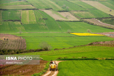  شناسایی ۱۵ هکتار تغییر کاربری اراضی غیرمجاز در قم طی سال جاری