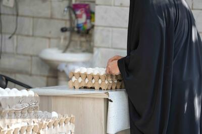 قیمت جدید شانه تخم‌مرغ اعلام شد