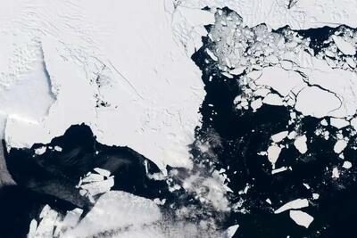 یخ‌های جنوبگان فرو می‌ریزد؛ هشدار لرزه‌ای از دل اقیانوس