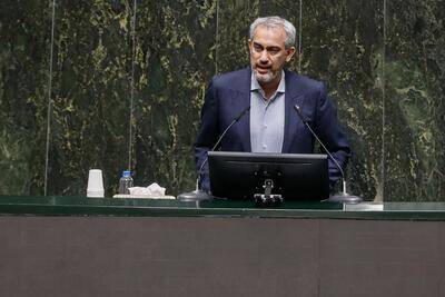 مدنی زاده: دولت پیگیر تامین سرمایه در گردش تولیدکنندگان کالاهای اساسی است