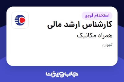  استخدام کارشناس ارشد مالی در همراه مکانیک