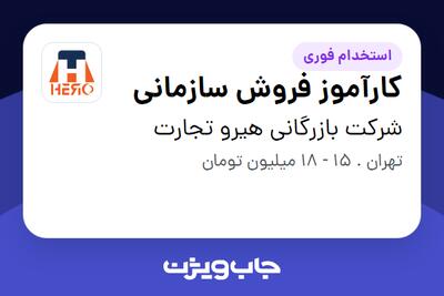  استخدام کارآموز فروش سازمانی در شرکت بازرگانی هیرو تجارت