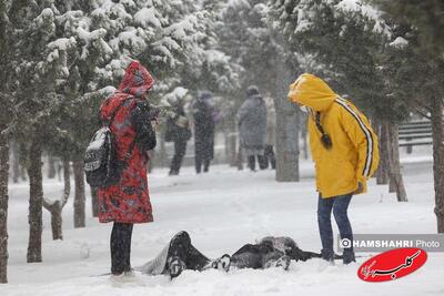  سامانه بارشی جدید در راه ایران؛ منتظر بارش برف و باران وزش باد شدید باشید - کلبه سرگرمی