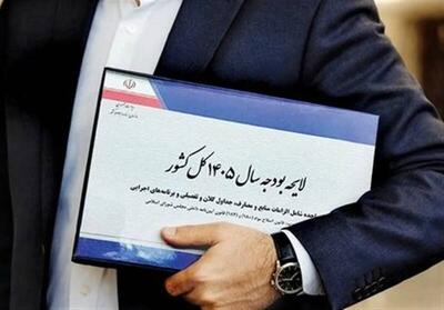 ارائه گزارش جزئیات بودجه ۱۴۰۵ اواسط بهمن‌ماه به مجلس