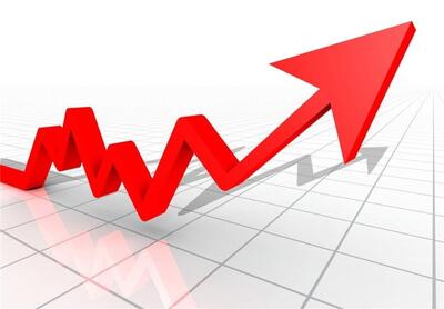  نوسانات ارزی از دلایل اصلی گرانی است