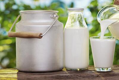 دولت باید برای شیرهای تولیدی فکر عاجل کند