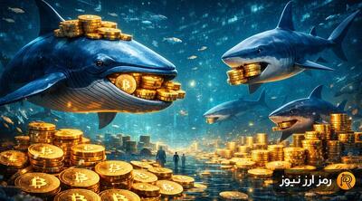 انباشت ۵ میلیارد دلاری نهنگ‌ها و کوسه‌ها؛ بول‌ران بیت‌کوین شروع شده؟