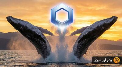 نهنگ‌های چین لینک هم‌صدا شدند: وقت صعود LINK فرا رسیده؟