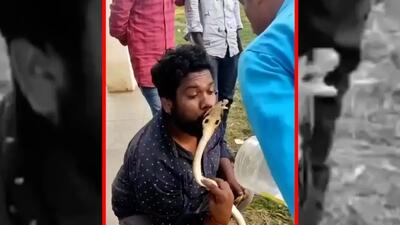  فیلم لحظه ترسناک حمله مار به صورت مرد