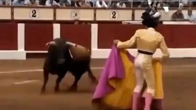  فیلم شکستن گردن گاو در مسابقات گاوبازی