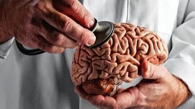  تاثیرات استرس مزمن بر مغز: از حافظه تا تمرکز / پاسخ به پرسش های کاربران