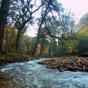  از تالاب استیل آستارا تا طبیعت پاییزی اسالم