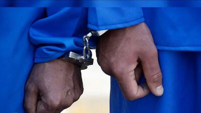 پایان سرقت های سریالی پارک ها با دستگیری سارقان فامیل