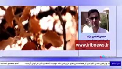 پیش بینی وضعیت آب و هوا ایلام فردا چهارشنبه ۱۷ دی ۱۴۰۴ + هواشناسی ایلام