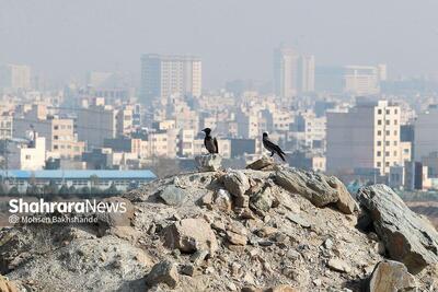پیش‌بینی هواشناسی کشور (سه‌شنبه، ۱۶ دی ۱۴۰۴) | پایداری هوا تا پایان هفته و تشدید آلودگی در کلان‌شهر‌ها