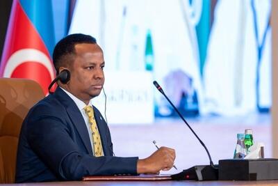 سومالی اسکان فلسطینیان در کشورش را رد کرد