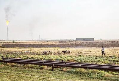 رویگردانی بومی‌ها