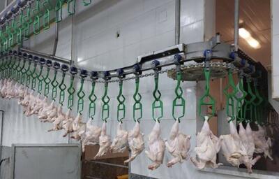 مرغ و تخم‌مرغ ماه رمضان و شب عید را از هر جا می‌خواهید تأمین کنید