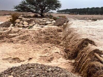 سیلاب ۲ هزار میلیارد ریال به کشاورزی مسجدسلیمان خسارت زد