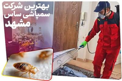 بهترین شرکت سمپاشی ساس مشهد [ بدون تخلیه با ضمانت کتبی ]