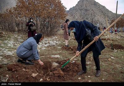 اجرای طرح 20 هکتار بادام کوهی در آران و بیدگل کلید خورد - تسنیم