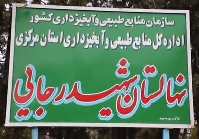 توزیع 1.5 میلیون نهال در استان مرکزی - تسنیم