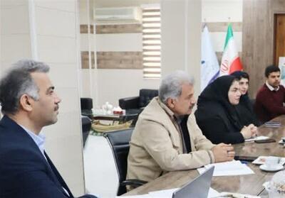 ظرفیت اسمی تولید ماهی پرورشی استان بوشهر به 14 هزار تن رسید - تسنیم