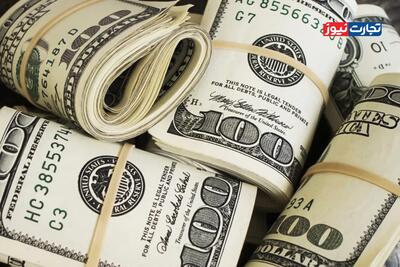 قیمت دلار به شرط بهبود شرایط اقتصادی تا پایان سال 120 هزار تومان است