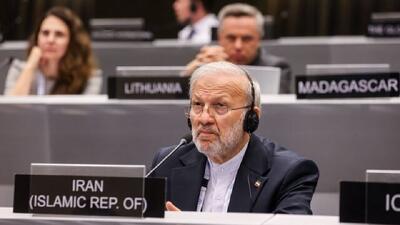 درخواست رسیدگی فوری اتحادیه بین‌المجالس جهانی به بازداشت همسر مادورو