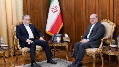 تأکید عراقچی بر ضرورت بهره‌گیری از دیپلماسی فعال در رابطه با نیوزلند