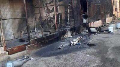 خون ریزی در سوریه با ۳۱ کشته/ در سوریه چه خبر است؟