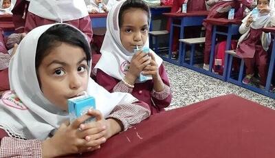 انتقاد وزارت بهداشت از پیشنهاد حذف بودجه شیر مدارس