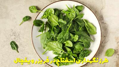  طرز نگهداری اسفناج خام و پخته در فریزر و یخچال برای مدت طولانی