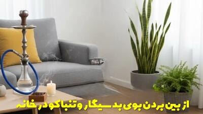  ترفند های کاربردی از بین بردن بوی بد سیگار و تنباکو در خانه به راحتی