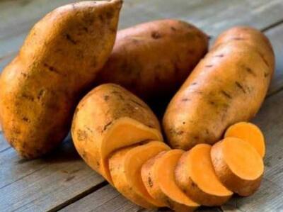 سیب‌زمینی / باورهای نادرست درباره سیب‌زمینی / حقایق و فواید سیب‌زمینی که باید بدانید