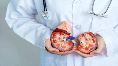 مشکلات گوارشی در بیماران کلیوی: علت چیست؟ / نکات مهم که پزشکان هشدار می‌دهند / راهکارهای ساده برای کنترل علائم