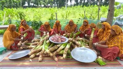  پخت خوراک کاری با گوشت گاو و تارو برای ۴۵۰ نفر