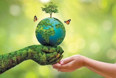 تقویت همکاری سازمان حفاظت محیط زیست و سازمان منابع طبیعی