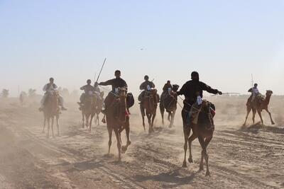 پایان مسابقات شترسواری  پنج استان ایران با رونمایی از قهرمانان
