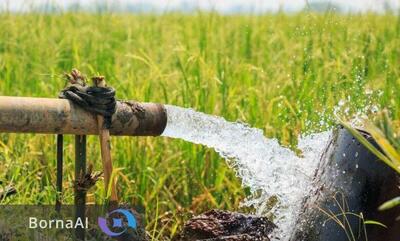  مدیریت مصرف آب کشاورزی با هیدروژل‌های زیست‌تخریب‌پذیر