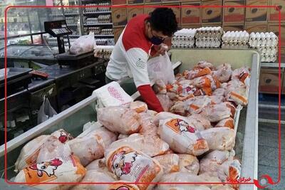  اسدالله نژاد مدیرعامل اتحادیه سراسری مرغداران گوشتی: قیمت مرغ برای مصرف کننده ۲۷۸ هزار تومان مصوب شد