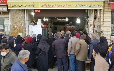 رقابت قیمت مرغ و تخم مرغ! / مرغ هم گران شد!