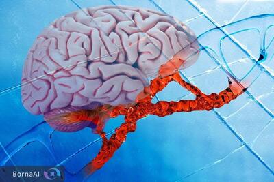  مسیر آلزایمر معکوس شد