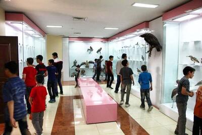  سهم ۸۰ درصدی نوجوانان از بازدیدهای موزه تاریخ طبیعی آذربایجان‌غربی