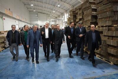 استاندار قزوین از چند واحد صنعتی در استان بازدید کرد