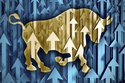 «وقتی رشد بازار از سود آینده می‌آید نه از هیجان !!»  