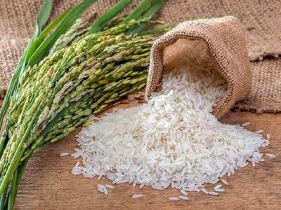 قیمت برنج در بازازهای جهانی
