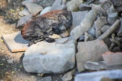 گندله، ستون درآمدی  کگهر  را مستحکم‌تر کرد